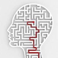 Connection of brain input. 3D Rendering photo