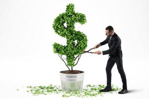 Potted plant with dollar shape. 3D Rendering photo