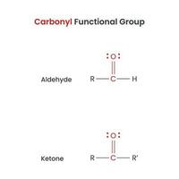 Carbonyl Biochemistry Functional Groups Aldehyde and Ketone vector science infographic