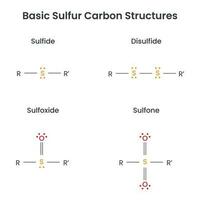 Basic Sulfur Carbon Structures scientific vector illustration infographic