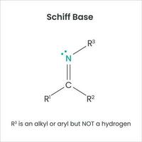 Schiff Base Biochemistry Functional Group science vector infographic