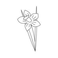 Hand drawn spring flower with leaves. vector