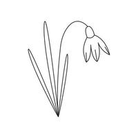 mano dibujado primavera flor con hojas. vector