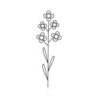 Hand drawn spring flower with leaves. vector