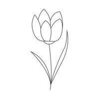 Hand drawn spring flower with leaves. vector