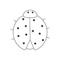 Hand drawn illustration of a ladybug vector