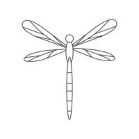Hand drawn dragonfly illustration. Isolated on white background vector