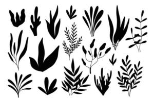 Algae silhouettes set. Vector illustration. Algae collection. Sea plants.