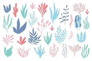 Algae set in silhouette style. Collection of colored underwater plants. Flat style. vector illustration.