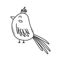 Cute bird in doodle style. Vector illustration. Isolated bird on a white background.