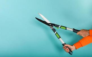 Gardener holds a scissor to cut plants on garden. cyan background photo