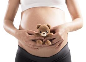 Teddy bear pregnant photo