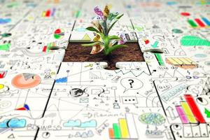 Plant with money grows from a missing piece of puzzle photo