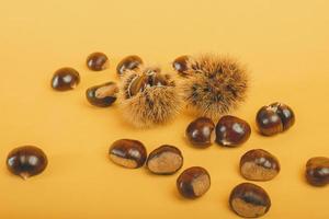 Stylish composition of chestnut on yellow background photo