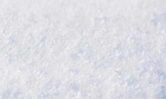 white snow background photo