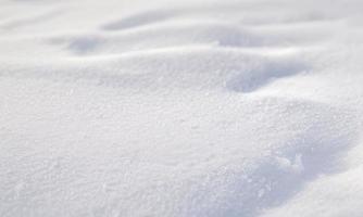 white snow background photo