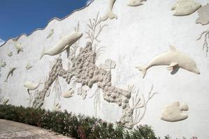 Cozumel Island Dolphinarium Wall Exterior photo