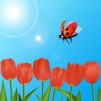 Spring season flying Ladybug, ladybird to the flower. Nature realistic macro illustration, design for biology book. Red Insect flying to the blooming tulip. Blue sky and sun background. vector