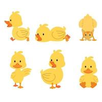 Cute yellow ducks collcetion set vector