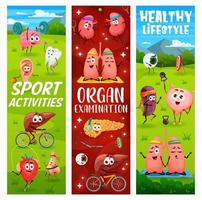 Healthy lifestyle, sports activity, human organs vector