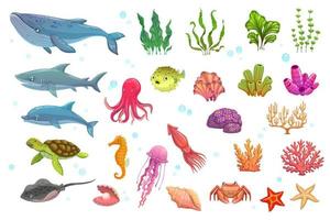 Cartoon underwater animals, seaweeds, fish, corals vector