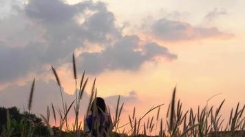 Women walk away on an evening pasture. video