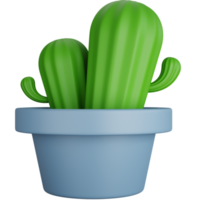 3d representación dos cactus arboles aislado png