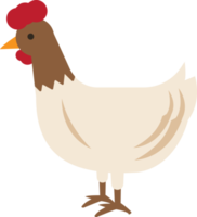 organisk kyckling rena jordbruk mat design element png