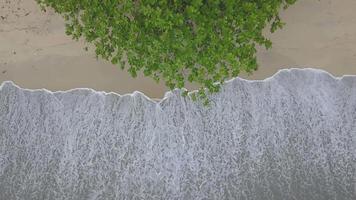 Welle schlagen das Weiß Sand. video