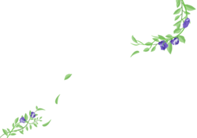 reeks van vlinder erwt bloemen kader banier Aan transparantie achtergrond png