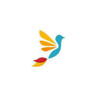 Bird and wings logo vector template. flying bird logo color.