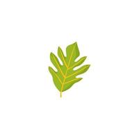 A green leaf that has the word banana on it vector