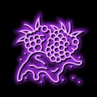 splash raspberry fruit berry neon glow icon illustration vector