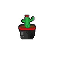 cactus tree in the pot with pixel art style vector