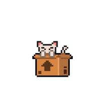 white cat in the box in pixel art style vector