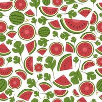 Watermelon seamless pattern isolated on white background. vector