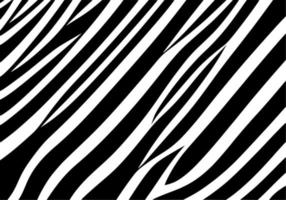 black and white of abstract background vector