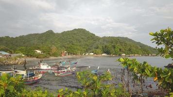 Fishing village at Penang video