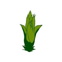 Green corn illustration on the white background vector