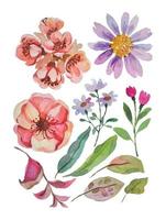 watercolor flower elements clipart vector