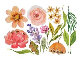 watercolor flower elements clipart handraw vector