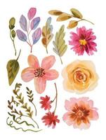 watercolor flower elements clipart vector