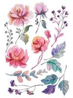 watercolor flower elements clipart vector