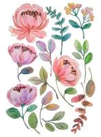 watercolor flower elements clipart vector