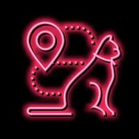 cat location information neon glow icon illustration vector