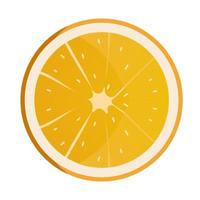Slice of orange. Fresh fruit background isolated on white. vector illustration.