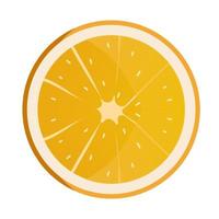 Slice of orange. Fresh fruit background isolated on white. vector illustration.