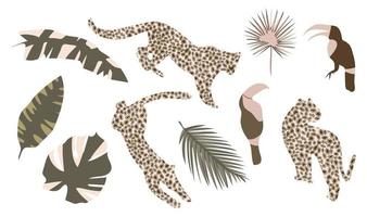 Tropical set with leaves, leopards and toucans. Boho design. Modern hand drawn plant leaf and tropical shape decoration set. vector