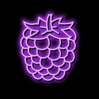 ripe blackberry neon glow icon illustration vector