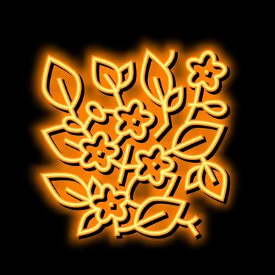caroline jessamine neon glow icon illustration